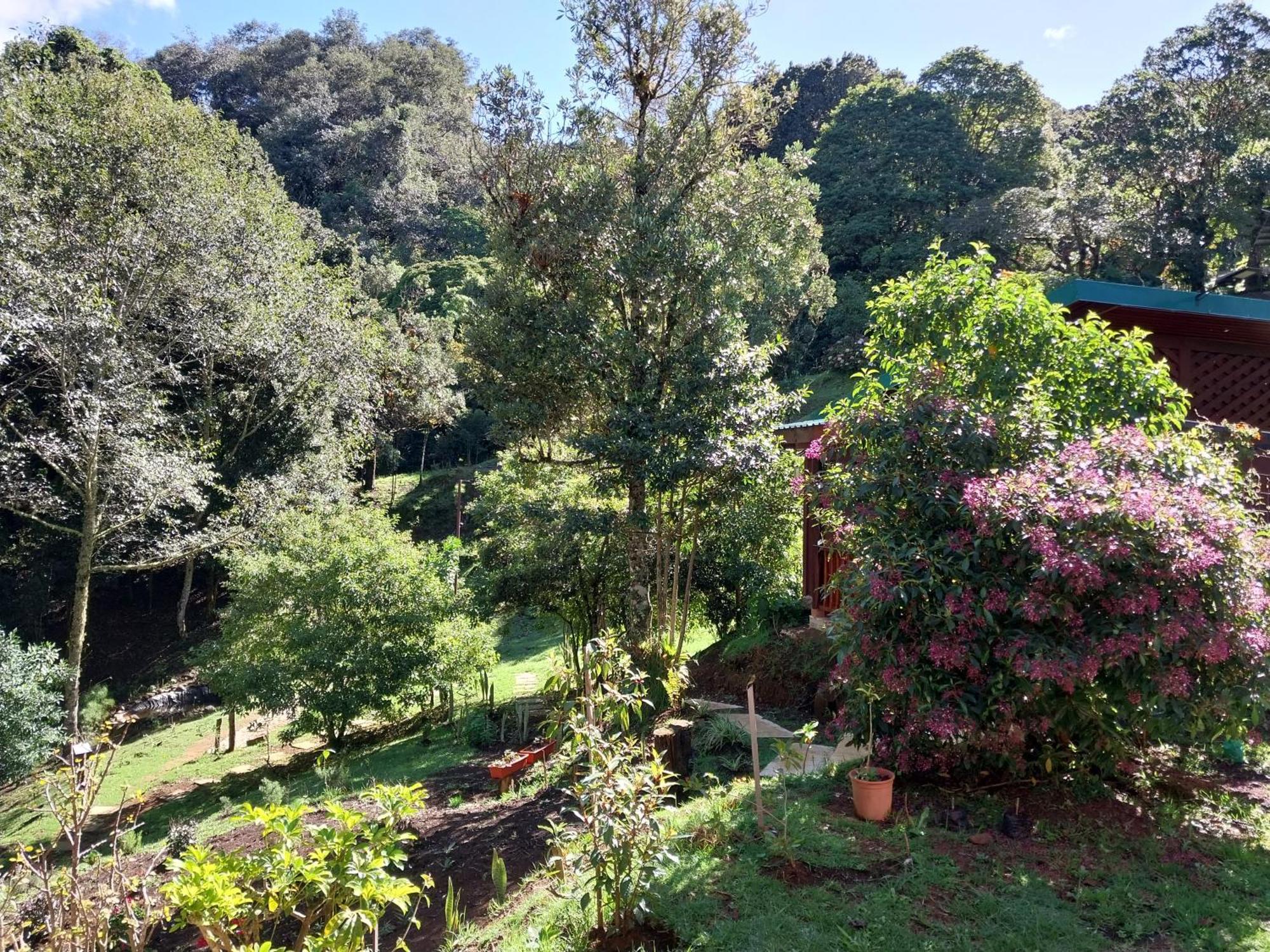 Curuba Lodge Copey Esterno foto