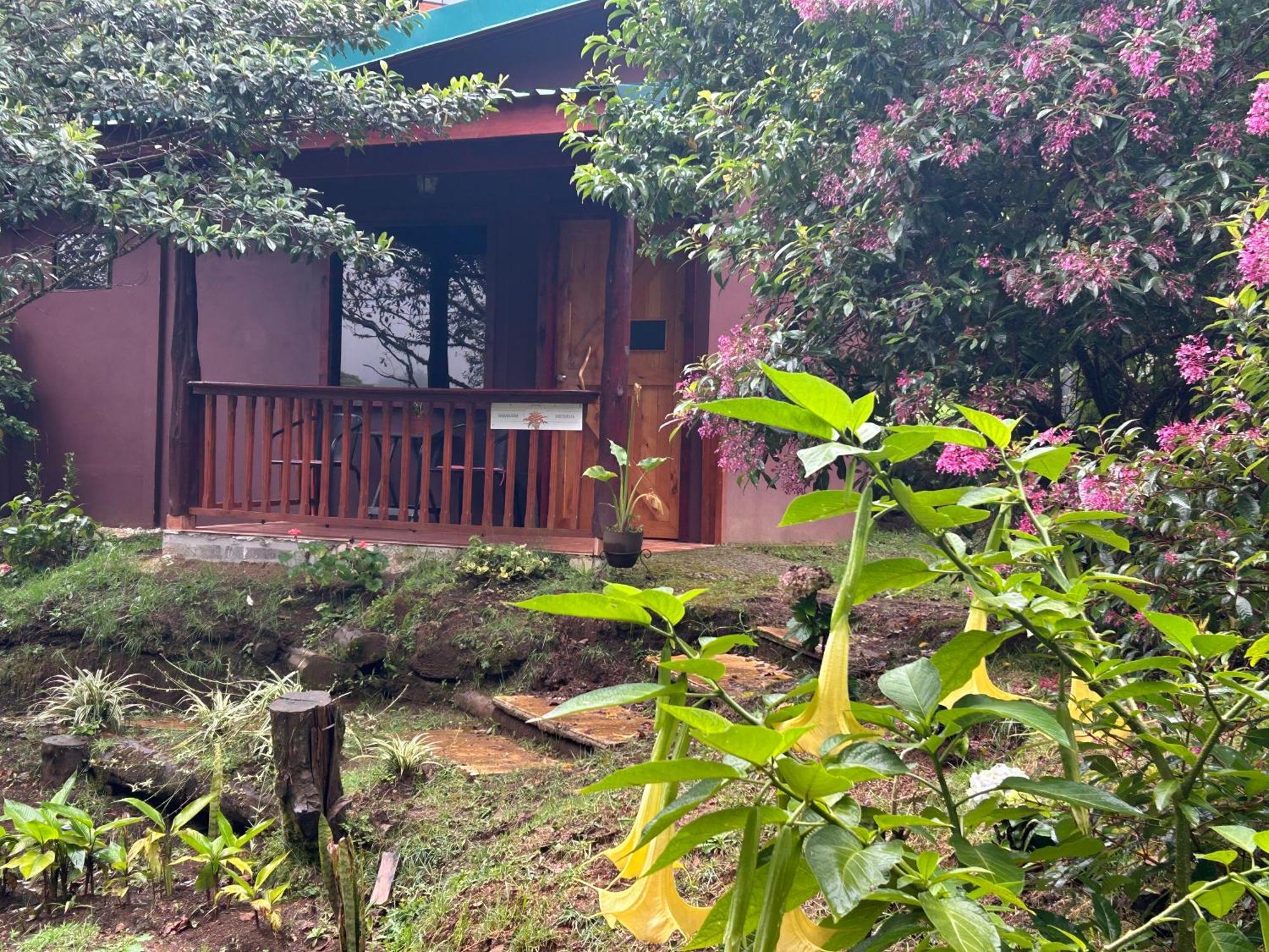 Curuba Lodge Copey Esterno foto